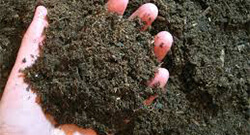 粉狀有機肥的生產工藝是怎樣的